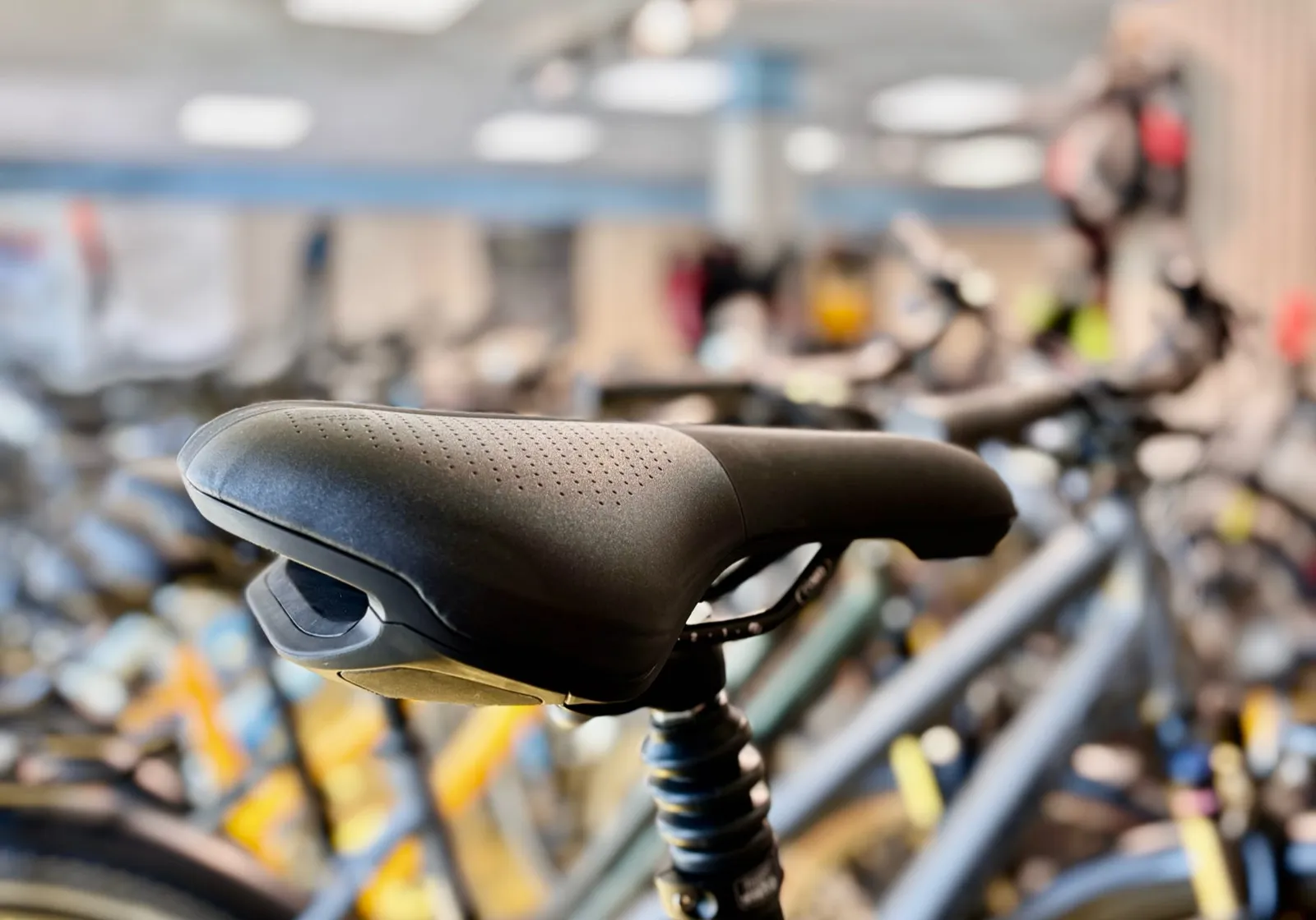 Fahrradladen – Dynamo Freiburg