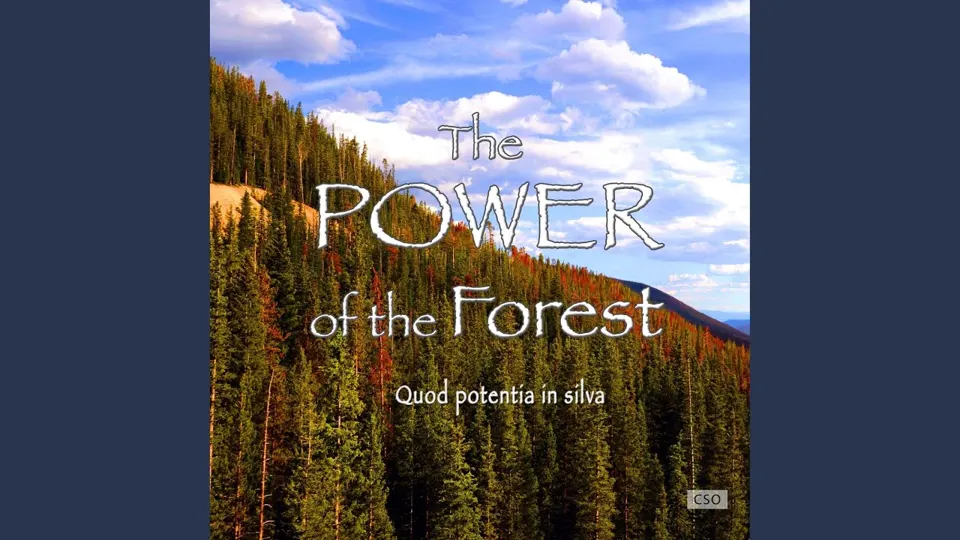 The Power of the Forest